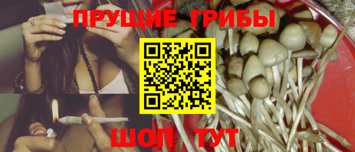 Галлюциногенные грибы мицелий Валуйки