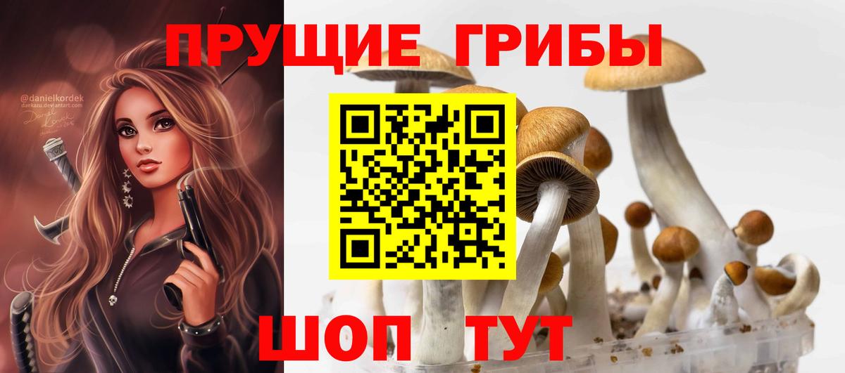 Галлюциногенные грибы Cubensis  Вход с VPN  Валуйки 
