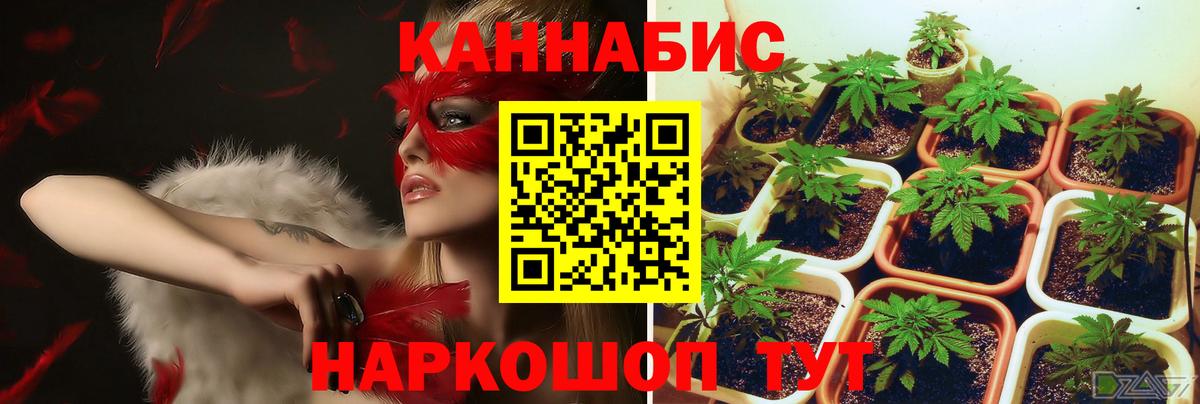 Шишки марихуана MAZAR  Конопля индика  Шишки марихуана VHQ  Валуйки  Вход с VPN 